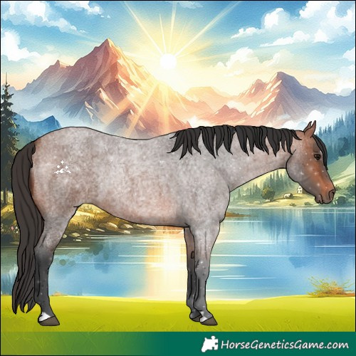 Horse Color:Bay Roan