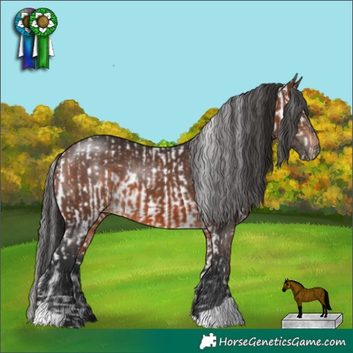 Horse Color:Brown Sabino and Brown