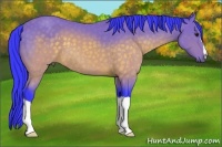 Horse Color:Watercolor Buckskin 