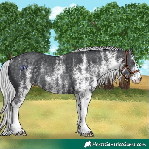 Horse Color:White Spotted Silver Black Chinchilla Rabicano 