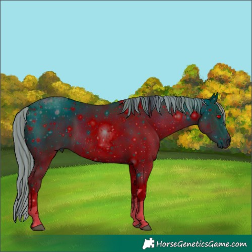 Horse Color:ERROR: UNKNOWN ANOMALY