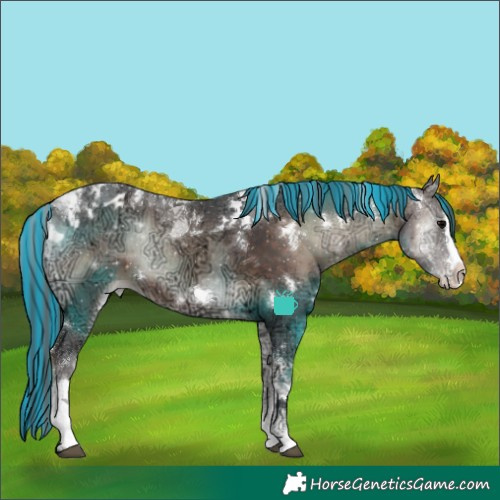 Horse Color:Painted White Spotted Brown Ice Onyx Mushroom Splash Tobiano Appaloosa Rabicano