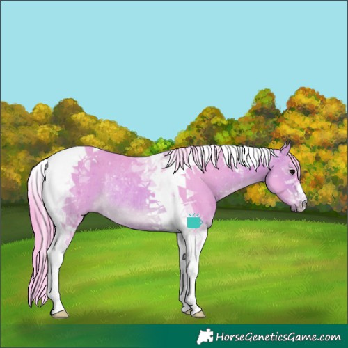 Horse Color:Watercolor Bay Tobiano Rabicano 