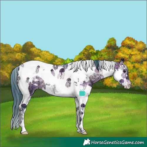 Horse Color:Watercolor Brown Ice Onyx Splash Tobiano Appaloosa
