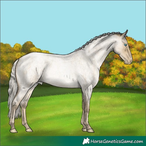 Horse Color:Silver Buckskin Roan Pearl Rabicano