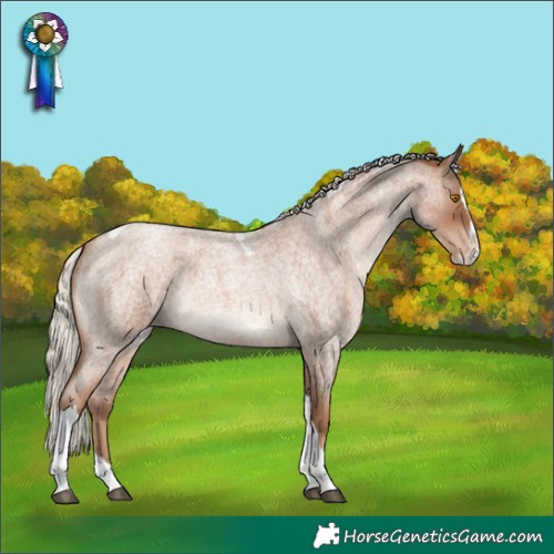 Horse Color:Silver Blue Roan Pearl Splash Tobiano Varnish