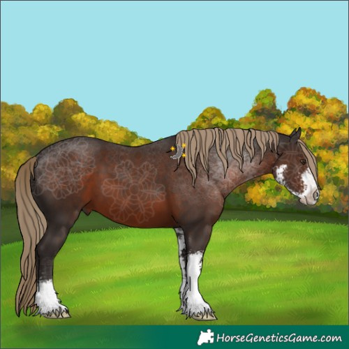 Horse Color:Liver Chestnut Sabino