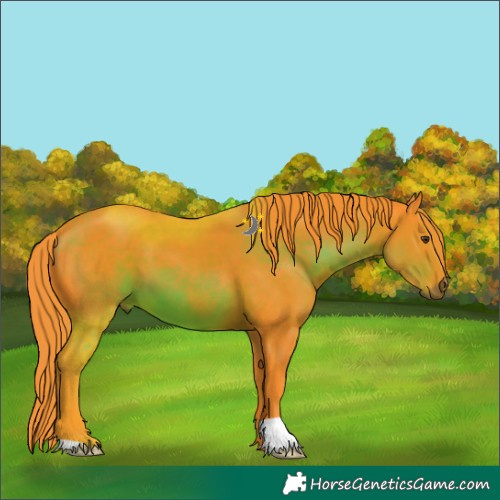 Horse Color:Watercolor Liver Chestnut