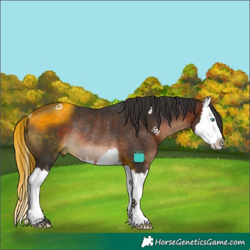Horse Color:White Spotted Brown Splash Rabicano