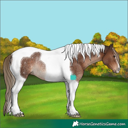 Horse Color:Liver Chestnut Tobiano Rabicano