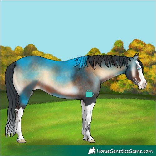 Horse Color:Brown Onyx Splash Varnish 