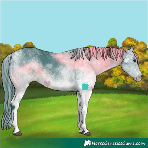 Horse Color:Watercolor White Spotted Brown