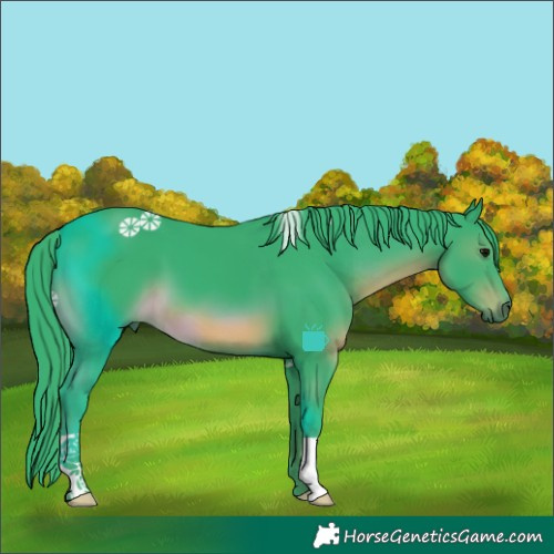 Horse Color:Watercolor Black 
