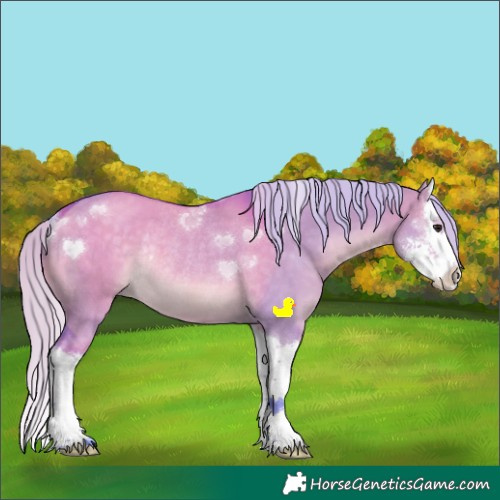 Horse Color:Watercolor Silver Brown Dun Sabino Splash Rabicano