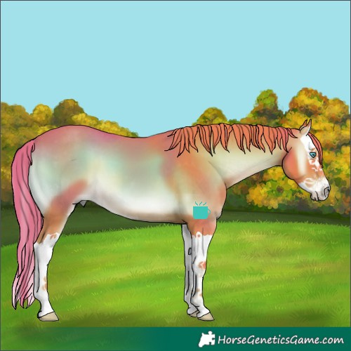 Horse Color:Watercolor Red Onyx Splash