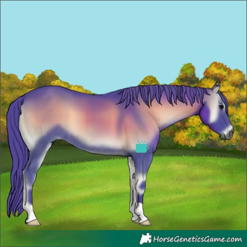 Horse Color:Gray Watercolor Smoky Blue Onyx 