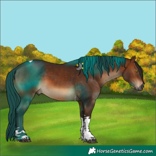 Horse Color:Gray Bay Tobiano 