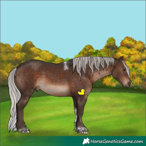 Horse Color:Silver Brown Tobiano Rabicano 