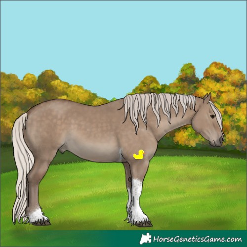 Horse Color:Silver Grullo Tobiano
