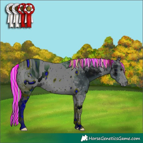 Horse Color:ERROR: UNKNOWN ANOMALY