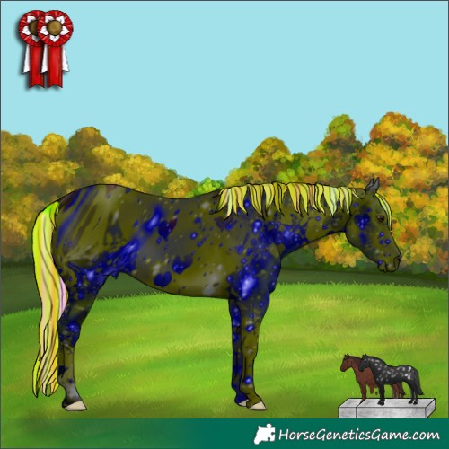 Horse Color:ERROR: UNKNOWN ANOMALY