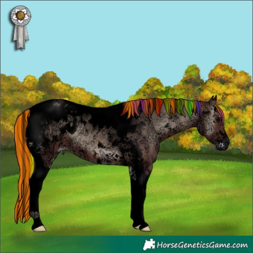 Horse Color:Void Painted Chocolate Blue Onyx Ice Sabino Splash Tobiano Appaloosa Brindle 