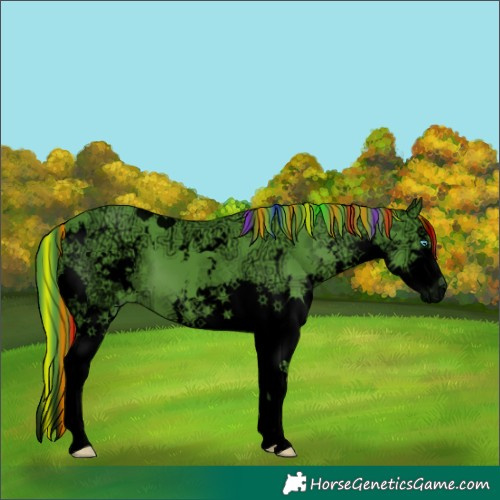 Horse Color:Void Painted Watercolor White Spotted Chocolate Black Ice Splash