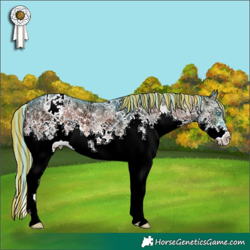 Horse Color:Painted Watercolor Blue Onyx Ice Sabino Splash Varnish Brindle