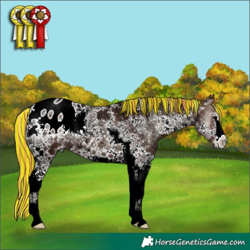 Horse Color:Painted Chocolate Blue Onyx Ice Sabino Splash Appaloosa