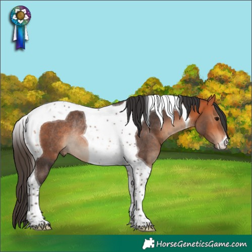Horse Color:Bay Tobiano Rabicano