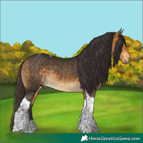 Horse Color:Buckskin Tobiano Rabicano 