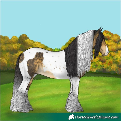 Horse Color:Buckskin Tobiano 