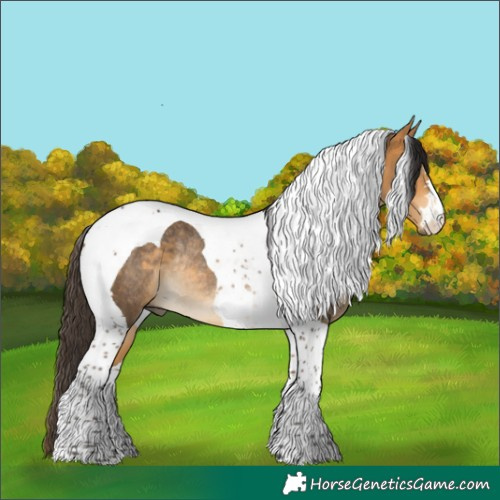 Horse Color:Buckskin Tobiano Rabicano 
