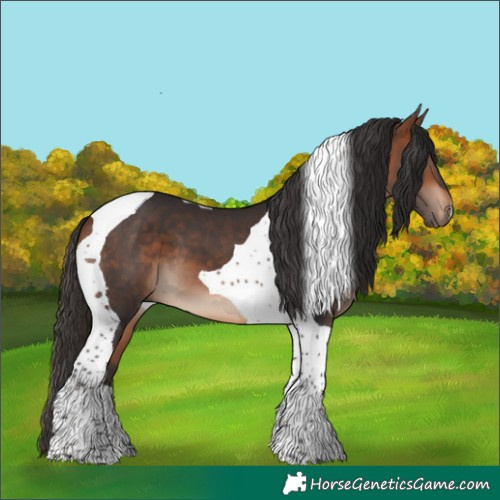 Horse Color:Bay Tobiano