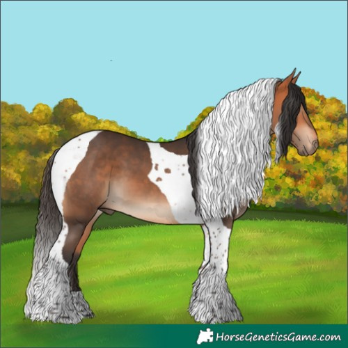 Horse Color:Bay Tobiano 