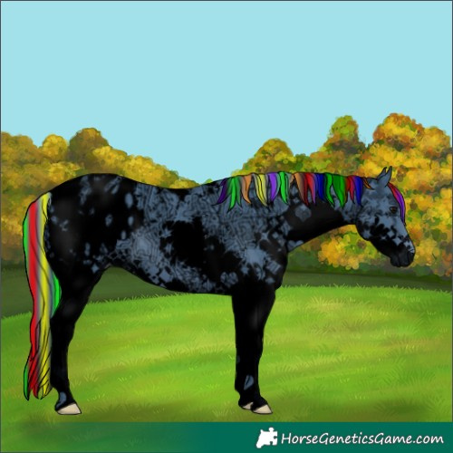 Horse Color:Void Painted Watercolor White Spotted Chocolate Black Ice Splash Tobiano Appaloosa 