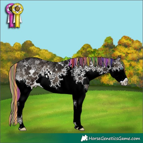 Horse Color:Painted Blue Onyx Ice Sabino Splash Tobiano