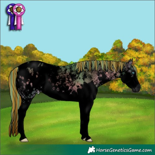 Horse Color:Void Painted Watercolor Chocolate Blue Onyx Ice Sabino Splash Appaloosa Brindle