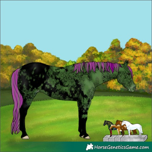 Horse Color:Void Painted Watercolor White Spotted Black Ice Tobiano Appaloosa 