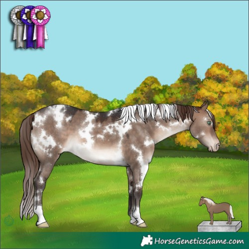Horse Color:White Spotted Brown Dun Mushroom Varnish