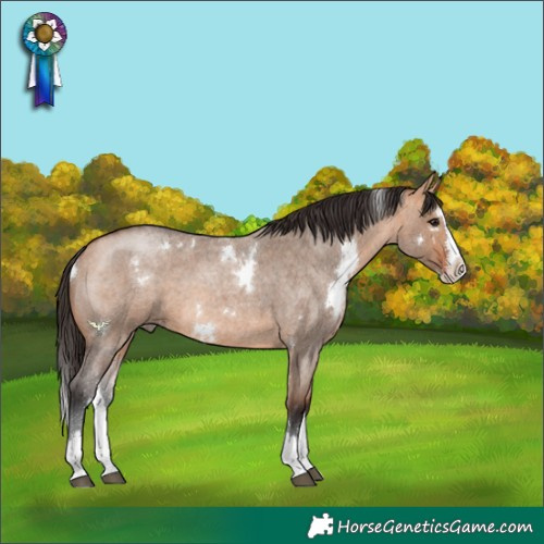 Horse Color:White Spotted Bay Roan Dun Splash 