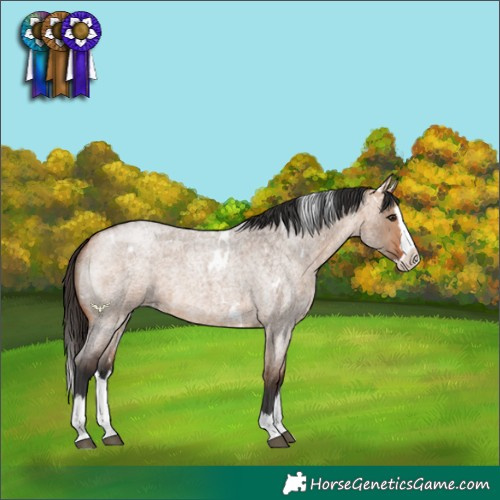 Horse Color:White Spotted Bay Roan Dun Splash 