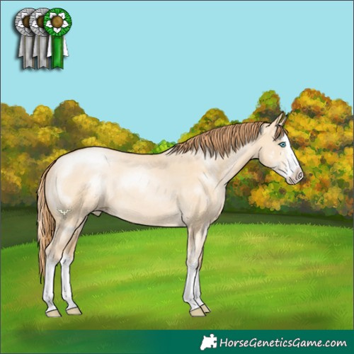 Horse Color:Buckskin Pearl Dun Sabino Splash
