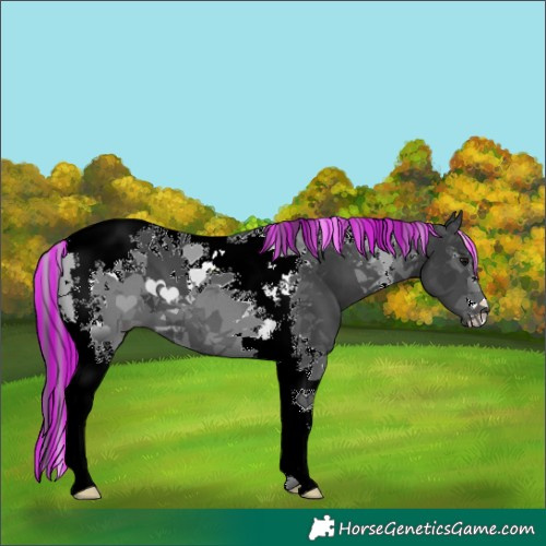 Horse Color:Painted Black Tobiano 
