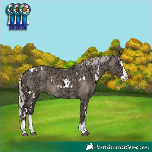 Horse Color:White Spotted Silver Grullo Ice Sabino Splash Rabicano 