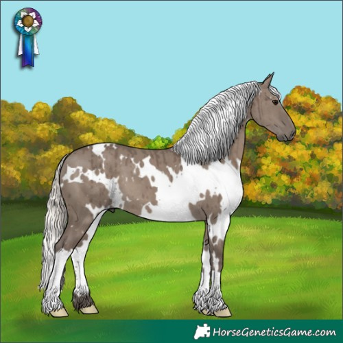 Horse Color:White Spotted Silver Grullo Brindle 