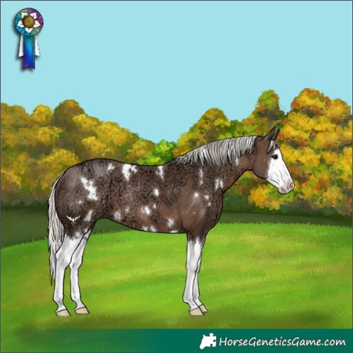 Horse Color:White Spotted Silver Black Ice Splash Rabicano