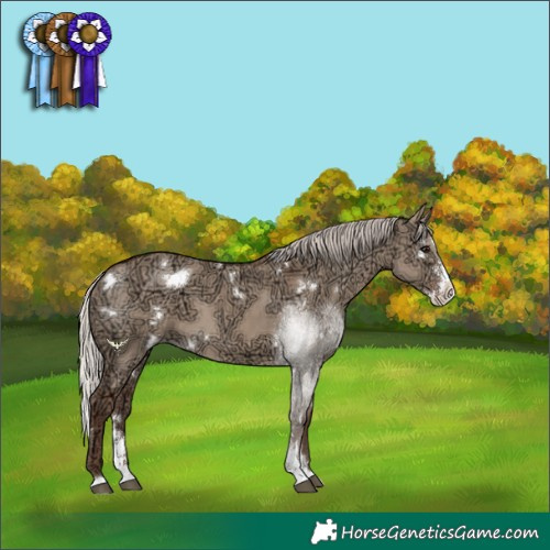Horse Color:White Spotted Silver Grullo Ice Sabino Splash Rabicano 