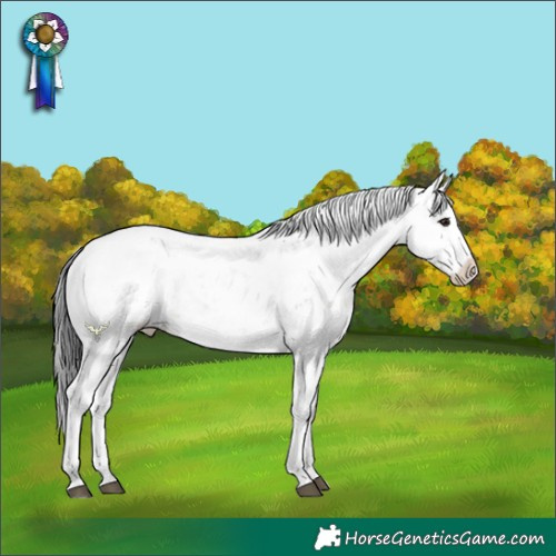 Horse Color:Brown Dun Sabino Splash Rabicano 