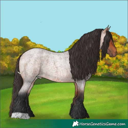 Horse Color:Bay Roan 